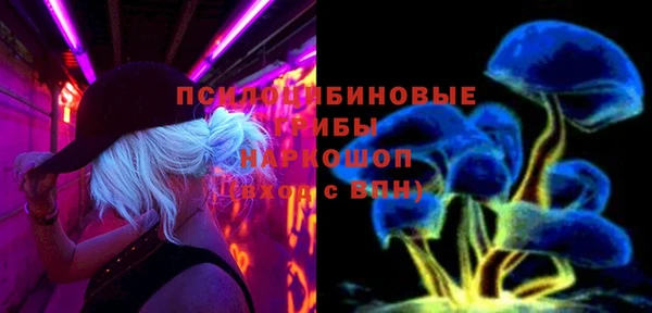 прущая мука Дмитров