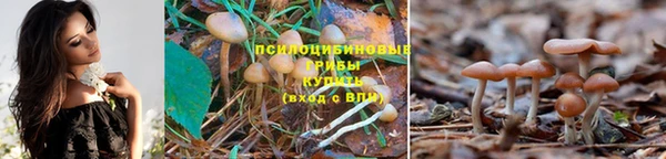a pvp Гусев