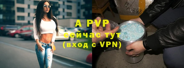 дживик Дмитриев