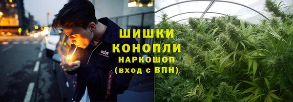 дживик Дмитриев