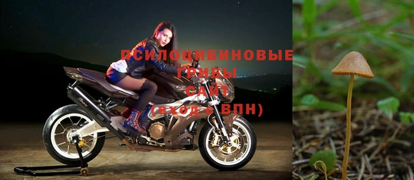 прущая мука Дмитров
